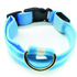 PARENCE - Collier Lumineux pour Chien Taille M 3 Modes d&