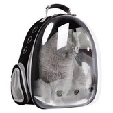 tahispetshop.com