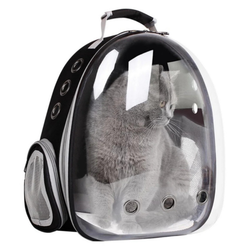 tahispetshop.com