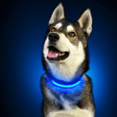 PARENCE - Collier Lumineux pour Chien Taille M 3 Modes d&